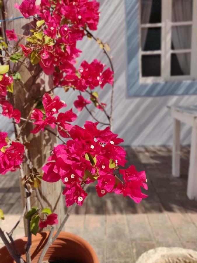 Casa Largo Do Poco Guesthouse Alvor Exteriér fotografie
